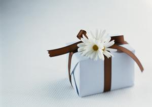 おしゃれな靴はあしながおじさんで探そう