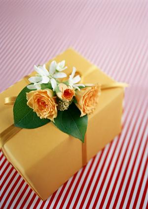 【徹底解説】ベース選びのポイントとおすすめモデル｜初心者から上級者まで必見の情報満載