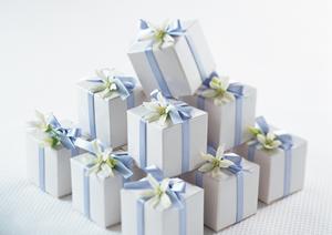 胡蝶蘭の魅力と育て方を解説！通販で手軽に購入する方法